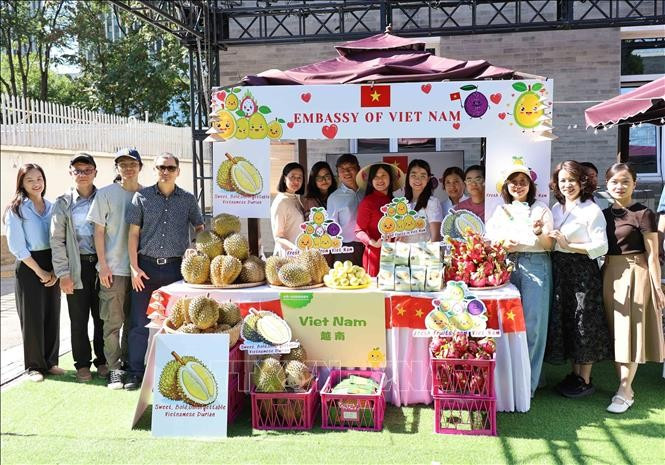 越南驻中国大使馆的榴莲展位。图自越通社