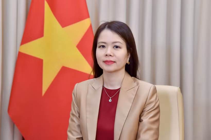 越南外交部副部长阮明姮。图自越通社