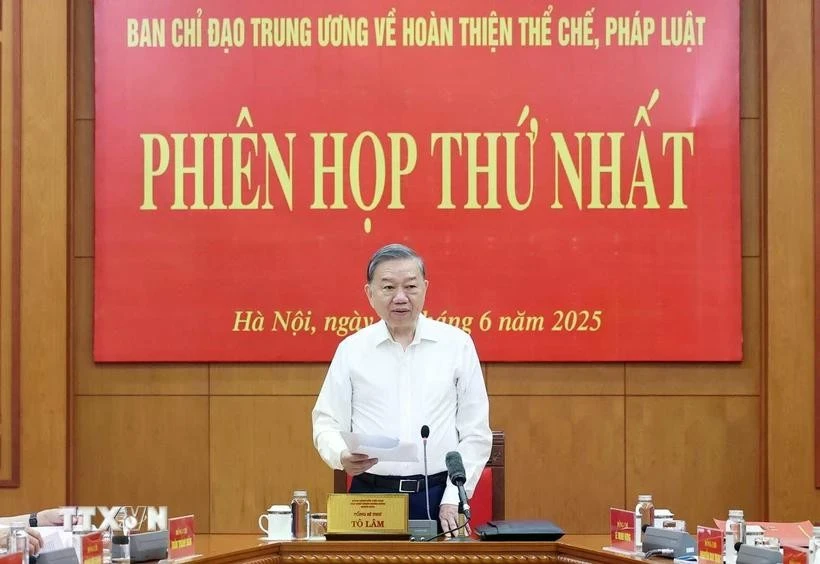 越共中央总书记苏林。图自越通社