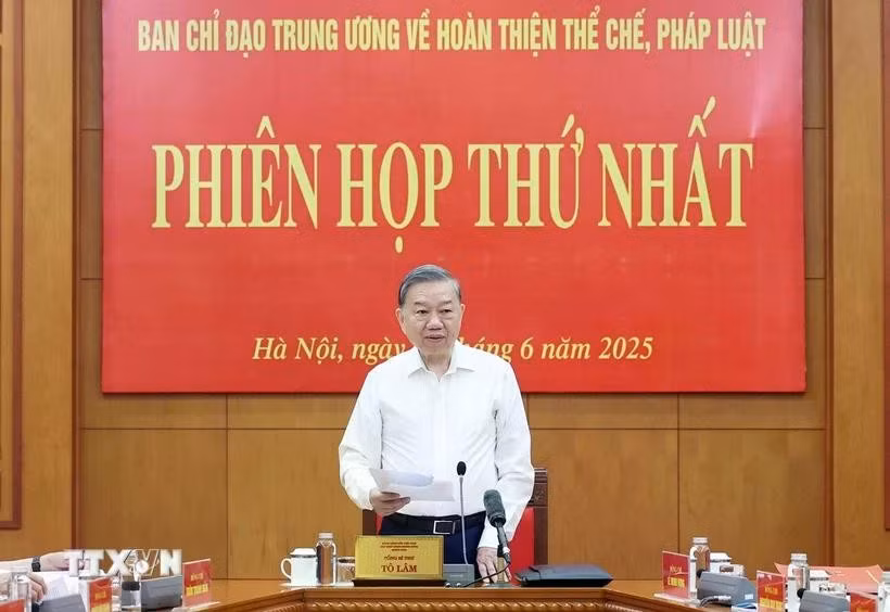 越共中央总书记苏林。图自越通社