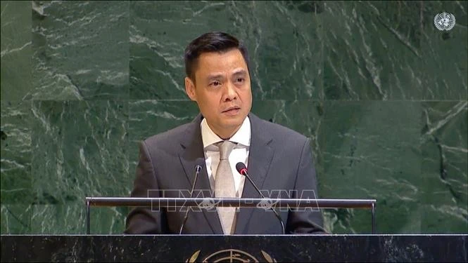 越南常驻联合国代表团团长、特命全权大使邓黄江。图自越通社