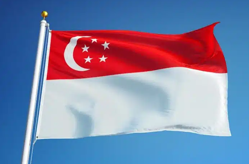 新加坡的国旗。图自互联网