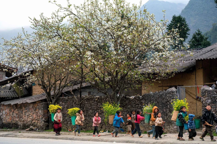 同文岩石高原居民的生活。图自越通社