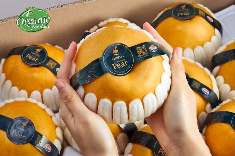 附图。图自organicfood.vn