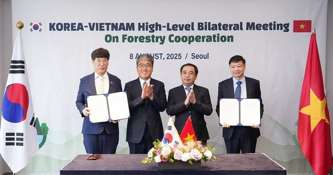 陈德胜代理部长与林相燮厅长共同见证了双方专业机构之间合作文件的签署。图自Vietnam+