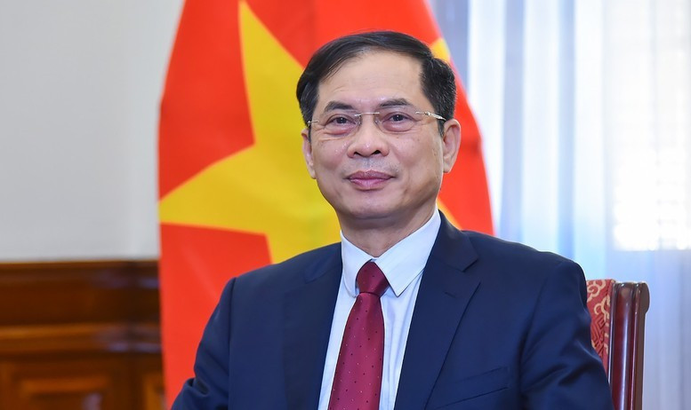 政府副总理裴青山担任工作组组长。图自政府新闻网