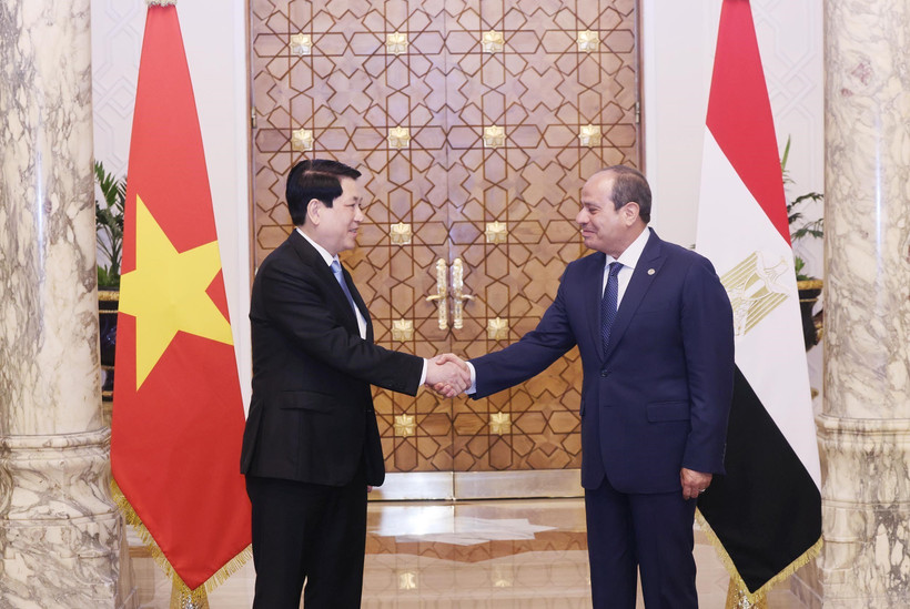 越南国家主席梁强与埃及总统阿卜杜勒·法塔赫·塞西。图自越通社