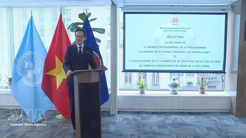 越南常驻联合国代表团团长杜雄越大使在活动上致辞。图自越通社