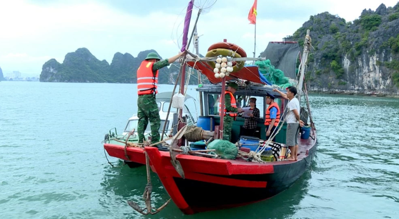 鸿基（Hòn Gai）港口岸边防哨所协同开展检查，处理在下龙湾非法从事水产捕捞活动的船只。图自越通社