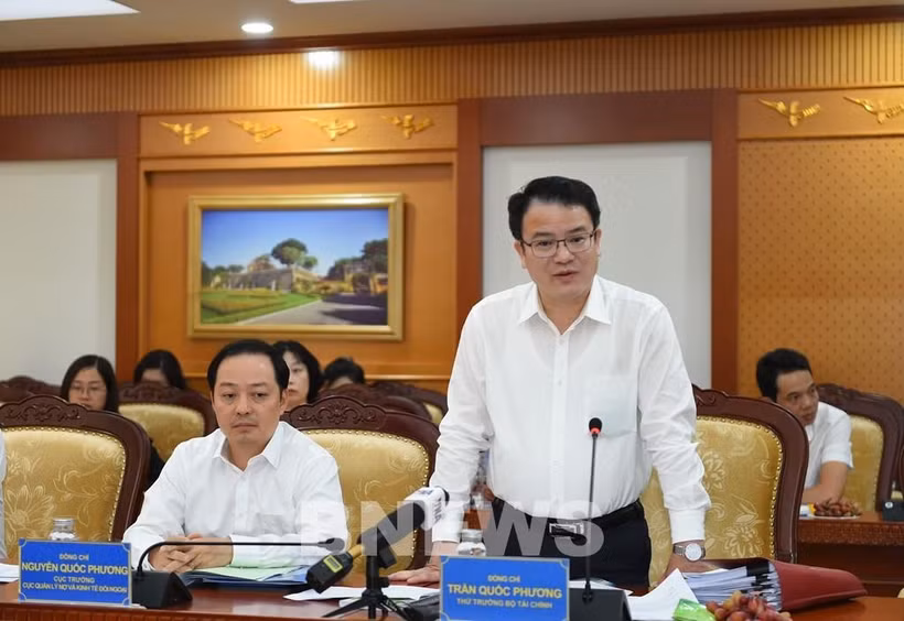 越南财政部副部长陈国芳在会议上发表讲话。图自越通社