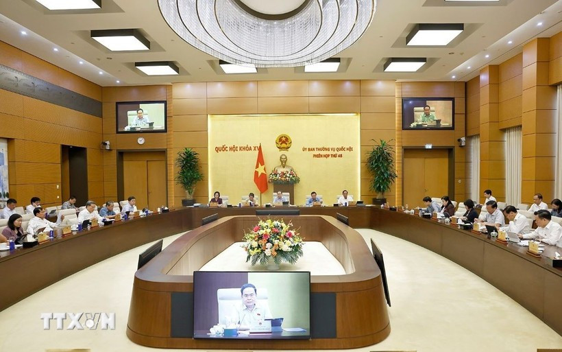 国会主席陈青敏在国会常务委员会一个会议上发言。图自越通社