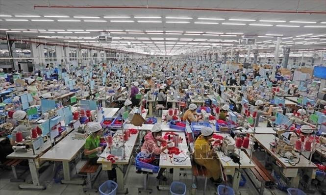 2024年越法双边贸易额超54亿美元，同比增长12.9%。图自越通社