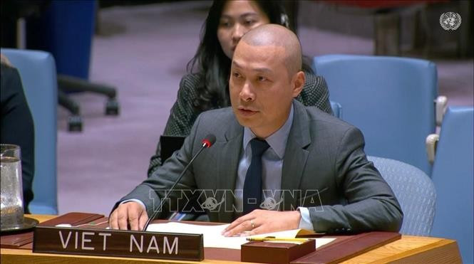 越南常驻联合国代表团公使阮黄元。图自越通社