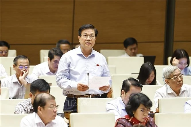 庆和省国会代表杜玉盛发言。图自越通社