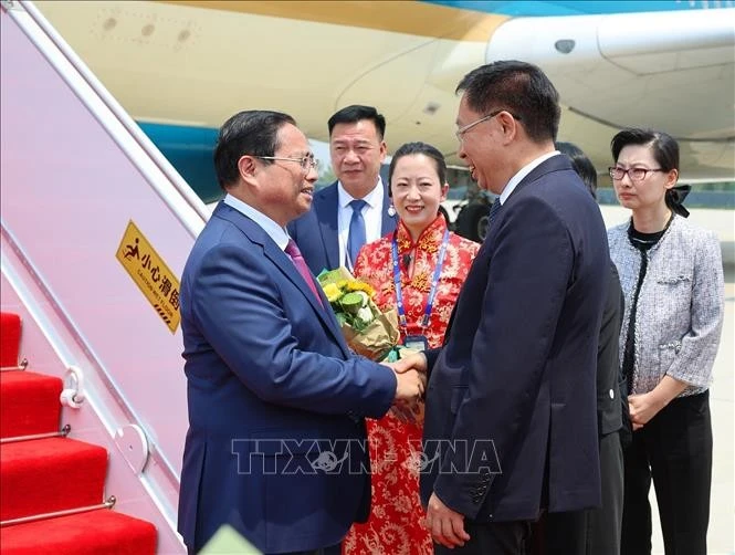津市副市长王秀峰前往天津滨海国际机场迎接越南政府总理范明政及越南代表团。图自越通社