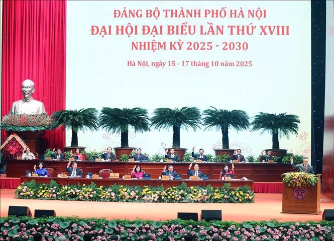 迎接越共十四大：越共河内市第十八次代表大会隆重开幕。图自越通社