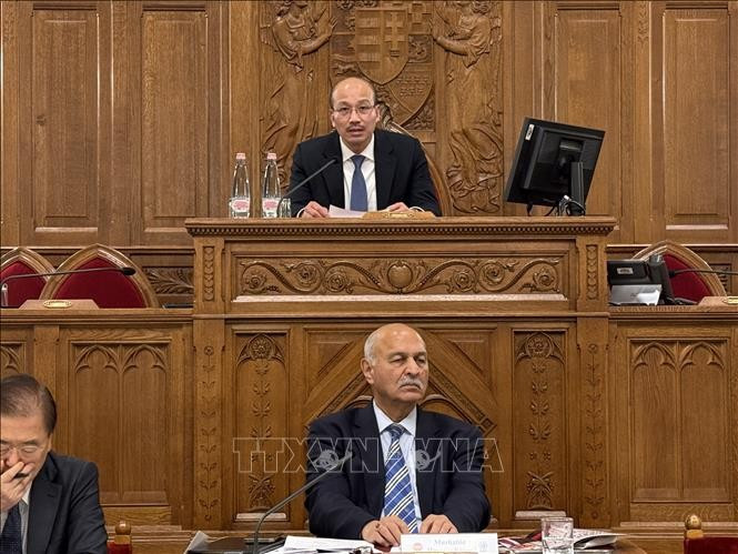 裴黎太大使（上）发表讲话。图自越通社