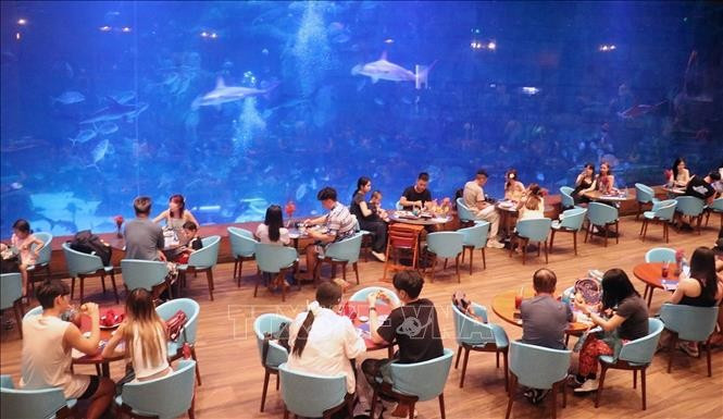 游客在坚江省富国岛北部体验海洋宫殿。图自越通社