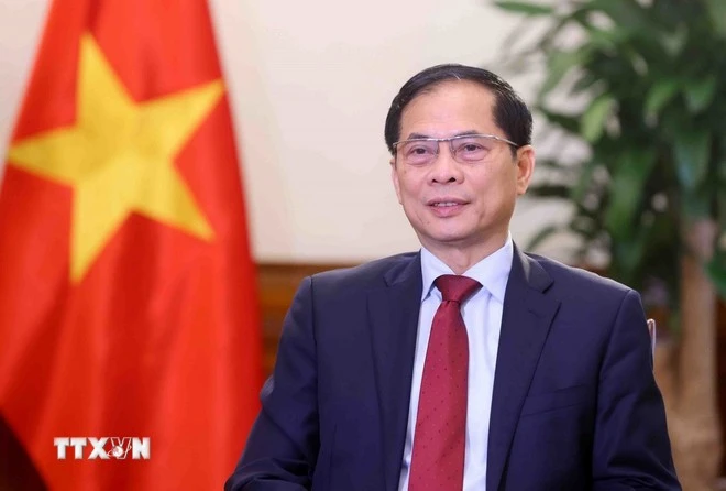 越南政府副总理兼外长裴青山。图自越通社