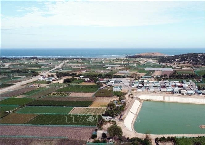 宁顺2号核电站规划建设地区位于宁海县永海乡。图自越通社