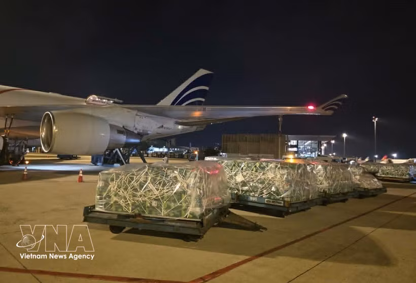近100吨越南果蔬通过空运进军阿联酋市场。图自越通社