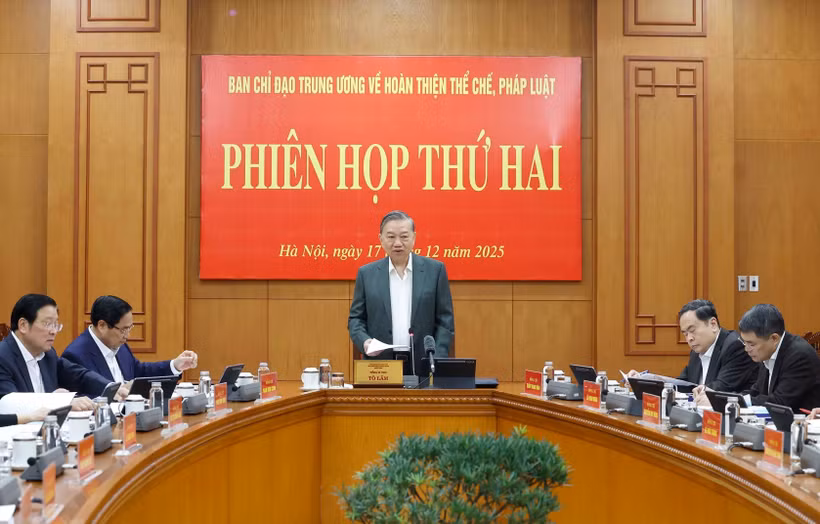 越共中央总书记、指导委员会主任苏林主持会议。图自越通社