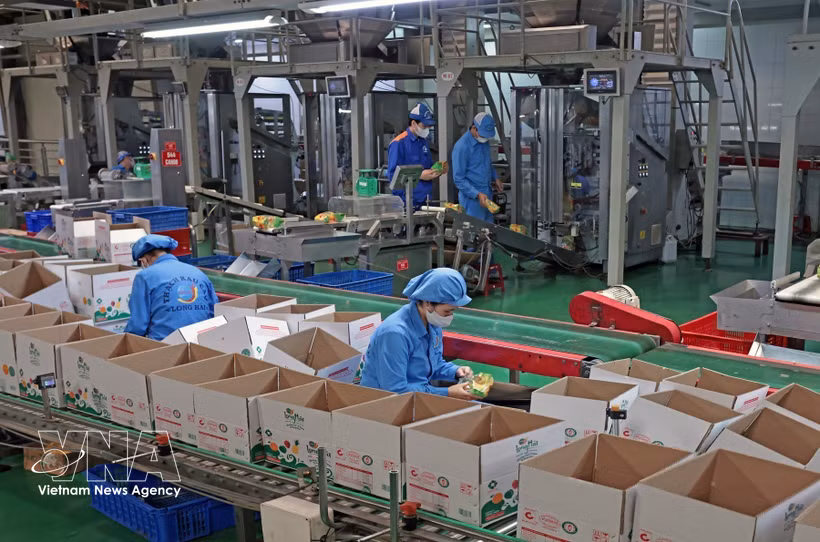 胡志明市继续确定保持全国经济龙头地位的目标。图自越通社