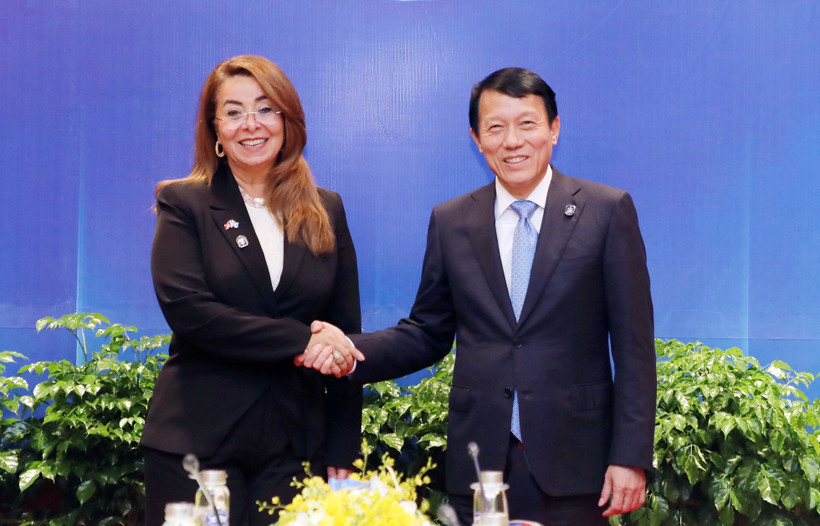 越共中央政治局委员、公安部长梁三光大将和联合国副秘书长、联合国毒品和犯罪问题办公室执行主任加达·瓦利。图自越通社