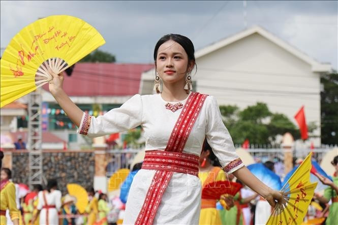 卡特节于10月20日下午在庆和省福友乡友德村体育场正式开幕。图自越通社