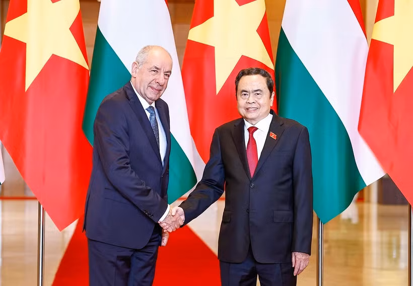 越南国会主席陈青敏会见匈牙利总统舒尤克·道马什。图自越通社