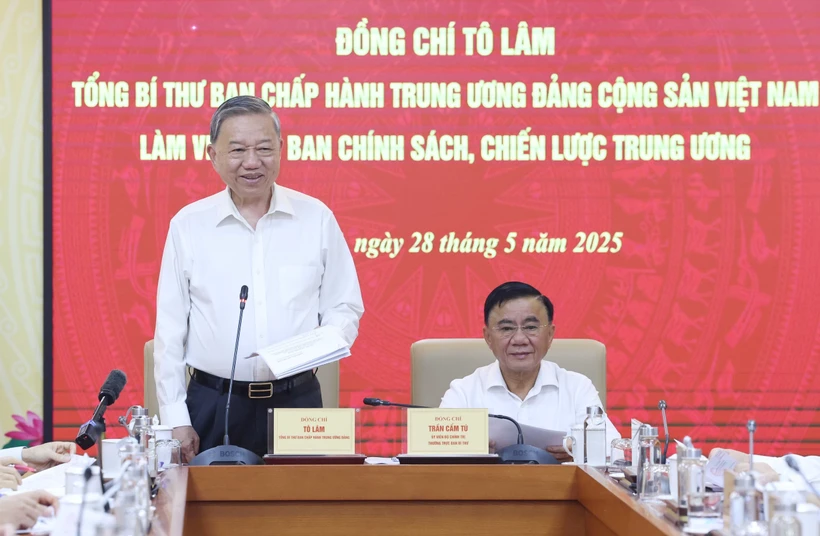 苏林总书记在会议上发表讲话。图自越通社