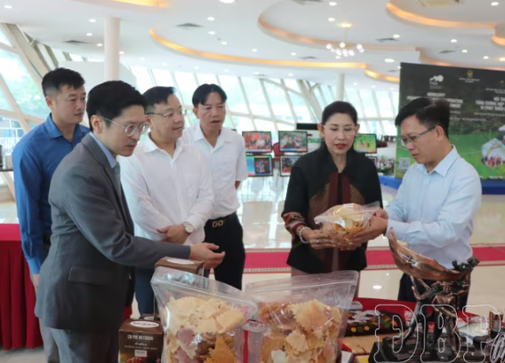 代表们了解奠边省的旅游信息和产品。图自baomoi.vn