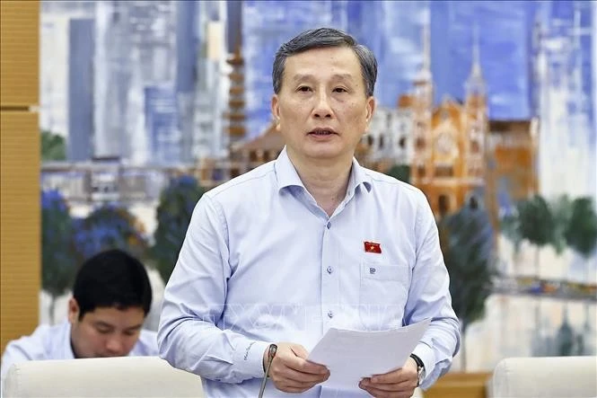 越南国会科技与环境委员会主任黎光辉发表意见。图自越通社