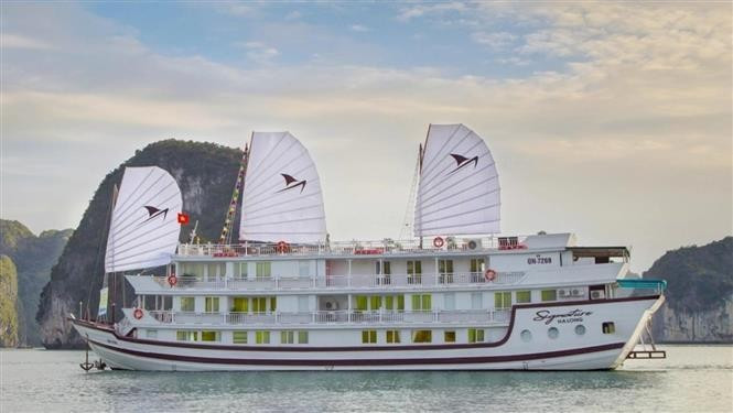 QN-7269的"签名"号（Signature）旅游船在发生火灾前的情景。图自越通社