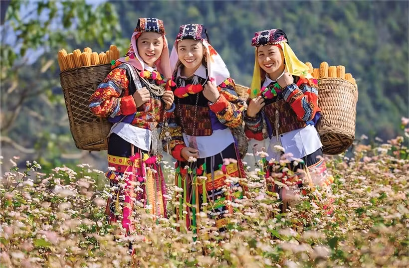 旅游业助力河江省少数民族生活面貌焕发新颜。图自投资报