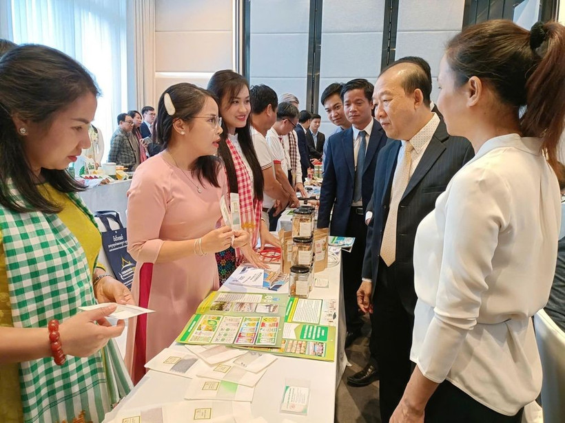 两国企业代表在8月28日于柬埔寨举行的“越南-柬埔寨企业对接会议”上进行交流。图自贸易促进局