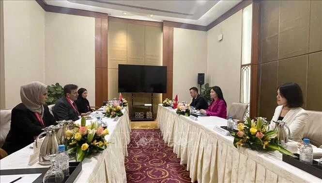 由越南国家审计副总审计长何氏美蓉率领的代表团，与阿拉伯联合酋长国（UAE）责任审计机构代表团举行了工作会谈。图自越通社
