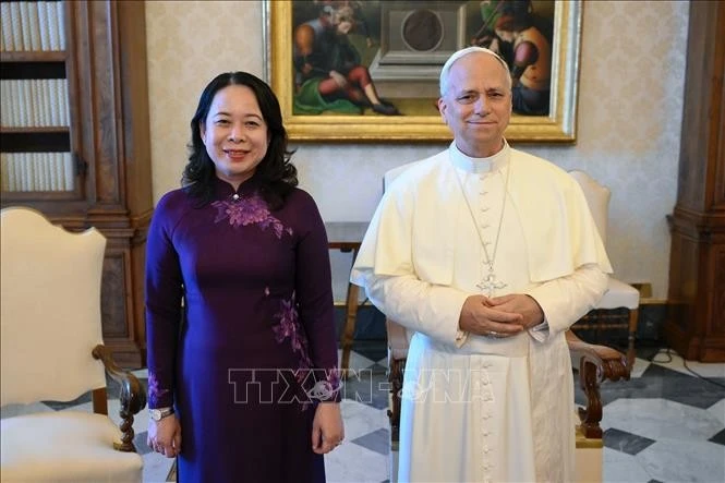 越南国家副主席武氏映春礼节性拜会了教皇良十四世。图自越通社