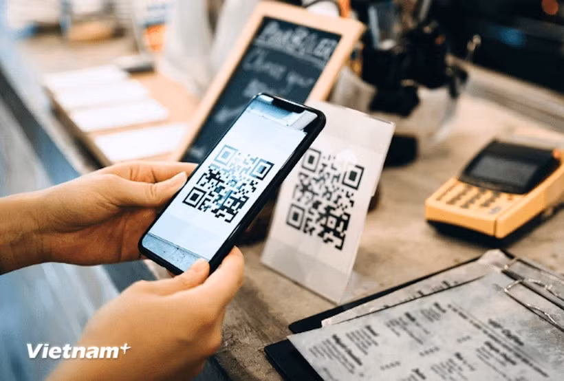 附图。图自越通社