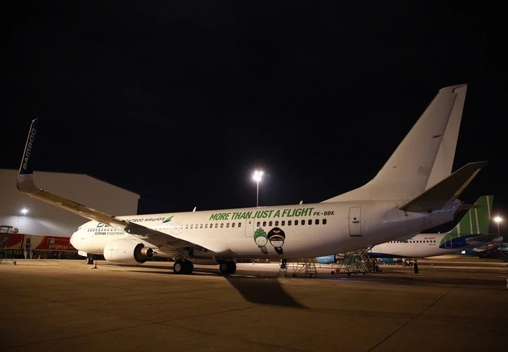 越竹航空确认已接收一架波音737-900ER飞机，服务于热门国内航线及部分东南亚国际航线。。图自tuoitre.vn