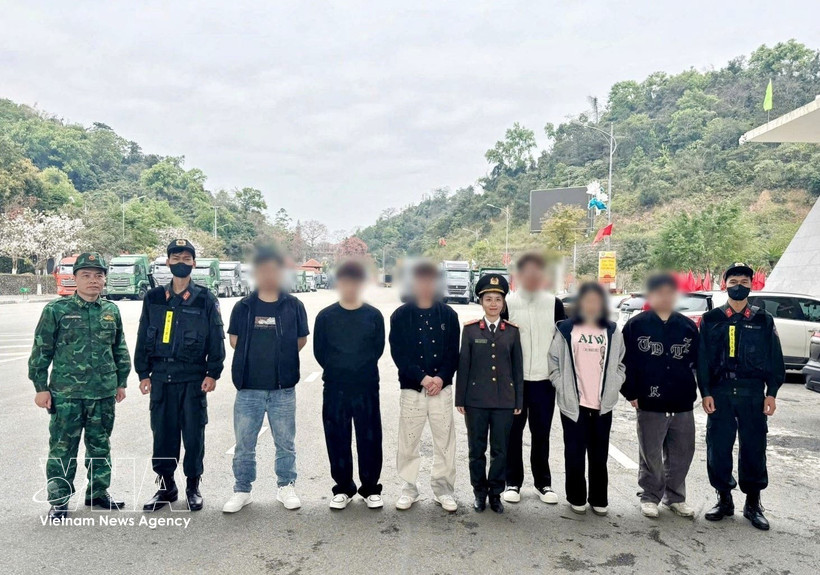 外籍涉案人员已依照法律规定被驱逐出越南领土。图自越通社