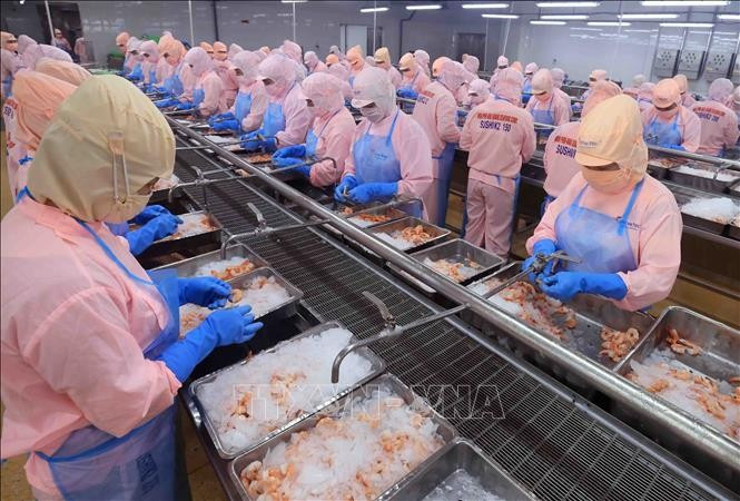 附图。图自越通社