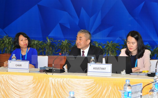 2017年APEC会议：汽车对话会议今日开始举行 | Vietnam+ (VietnamPlus)