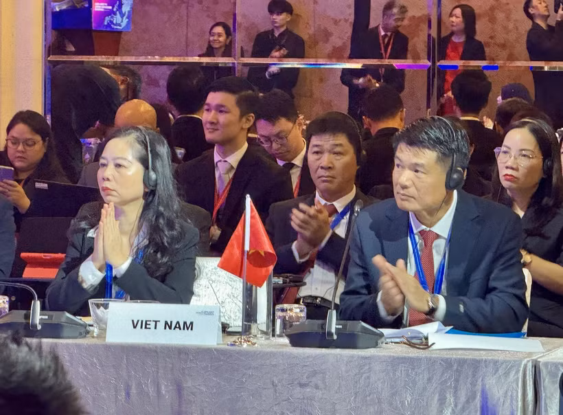 参加会议的越南代表团。图自越通社