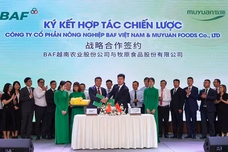 BAF越南与中国牧原领导签署战略合作协议。图自Bnews