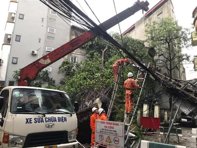 抓紧修复电力受损基础设施。图自越通社