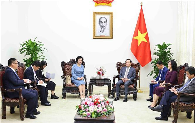 越南政府副总理陈流光会见赛轮(越南)有限公司董事长刘燕华。图自越通社