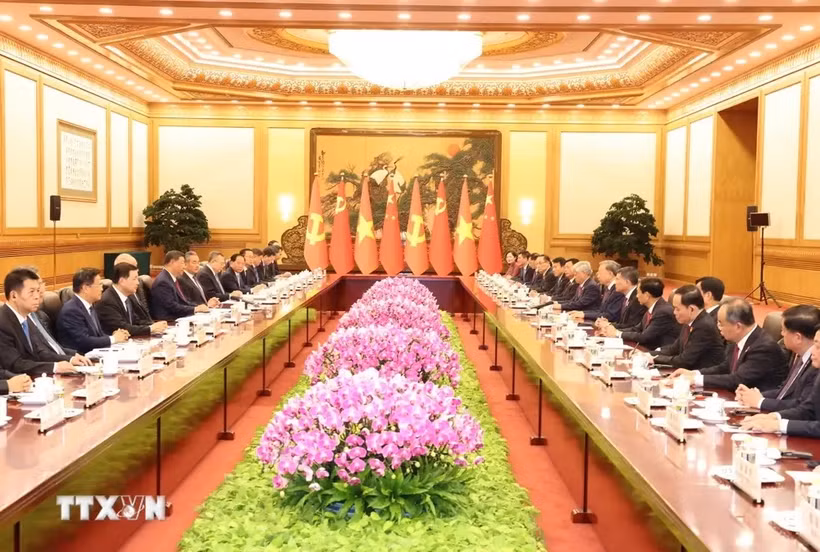 越共中央总书记、国家主席苏林与中共中央总书记、国家主席习近平举行会谈。图自越通社