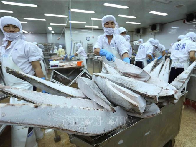 资料图。图自越通社