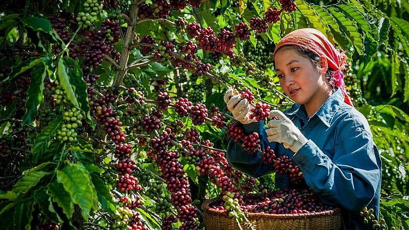 资料图。图自互联网